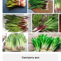 Андрейй